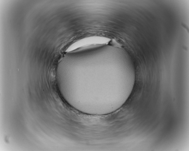 X0000099380040200805291137