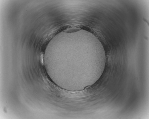 X0000099380042200805291137
