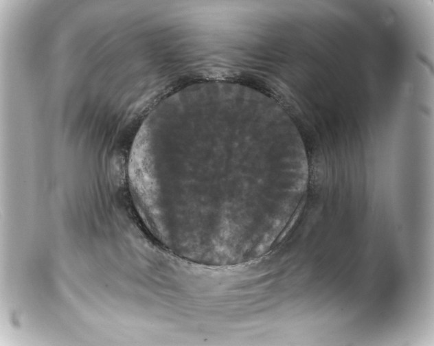 X0000099380043200805291137