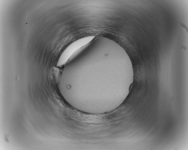 X0000099380044200805291137
