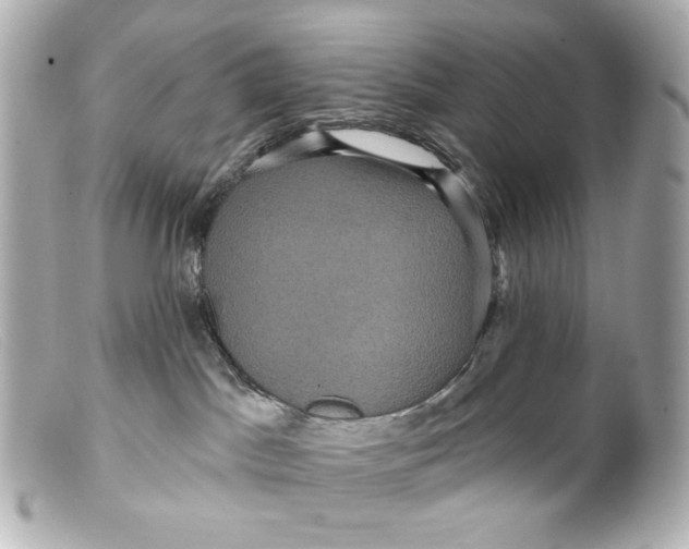 X0000099380045200805291137