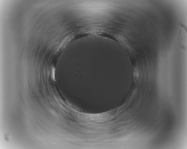 X0000099380046200805291137