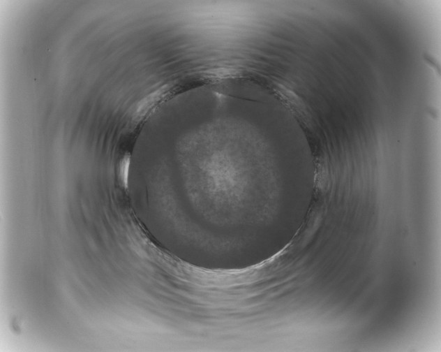 X0000099380047200805291137