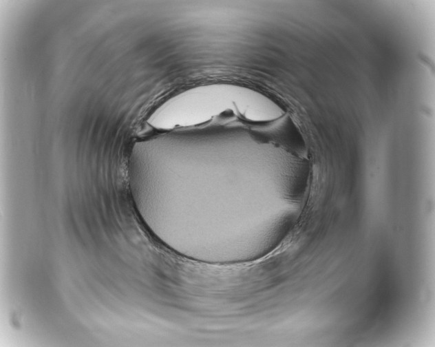 X0000099380048200805291137