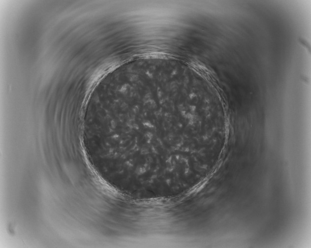 X0000099380049200805291137
