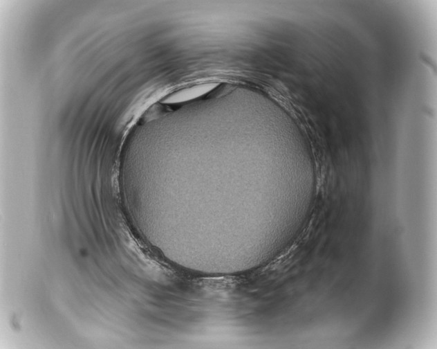 X0000099380050200805291137