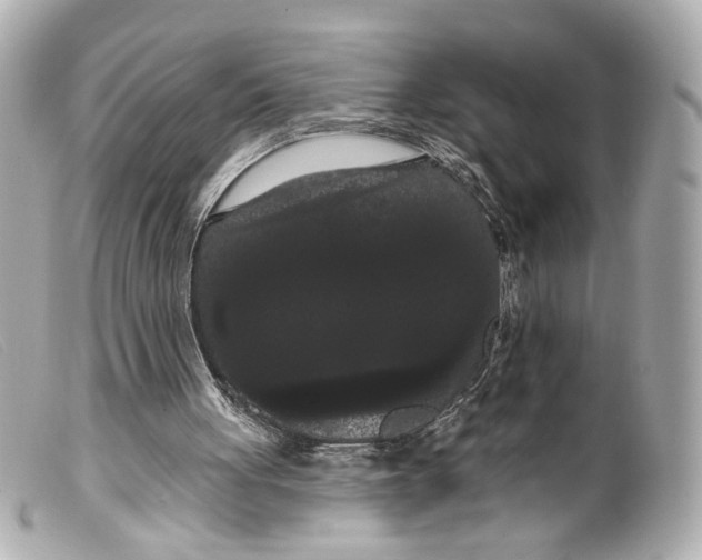 X0000099380051200805291137