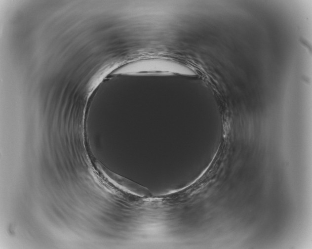 X0000099380052200805291137