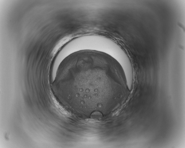 X0000099380054200805291137
