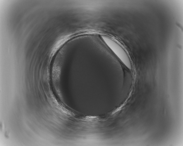 X0000099380055200805291137