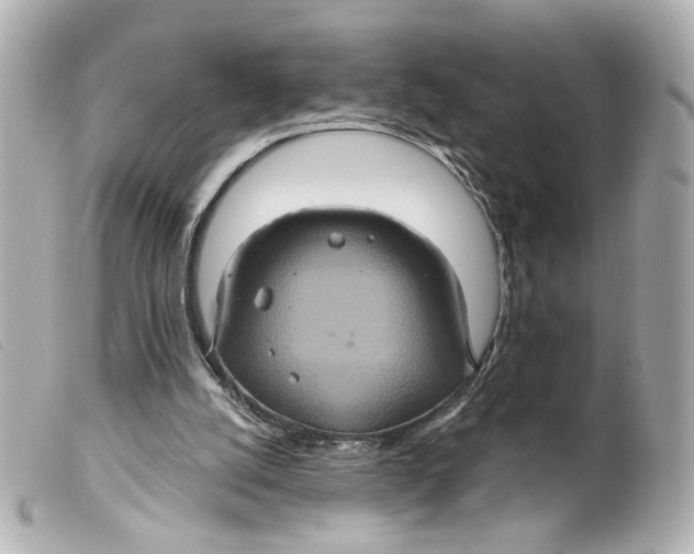 X0000099380056200805291137