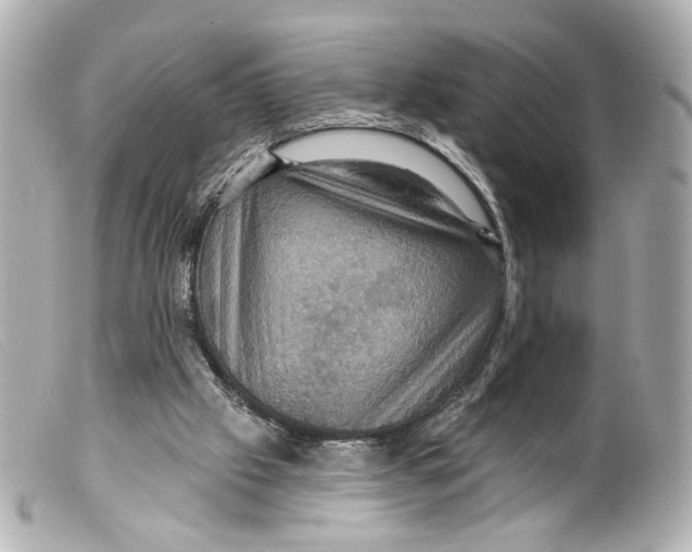 X0000099380057200805291137