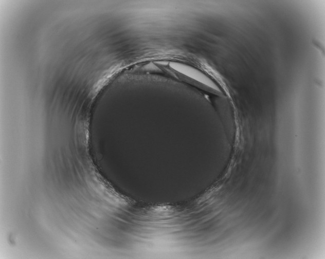 X0000099380059200805291137