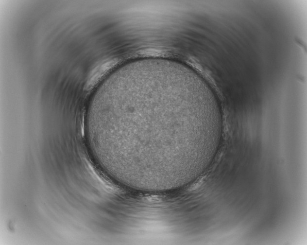 X0000099380062200805291137