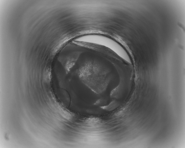 X0000099380063200805291137