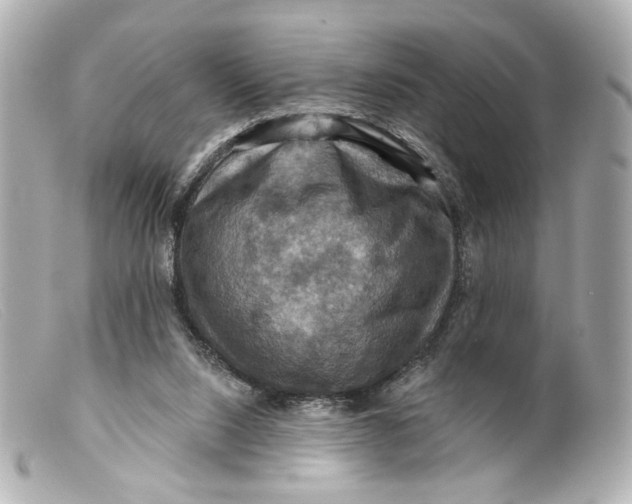 X0000099380064200805291137
