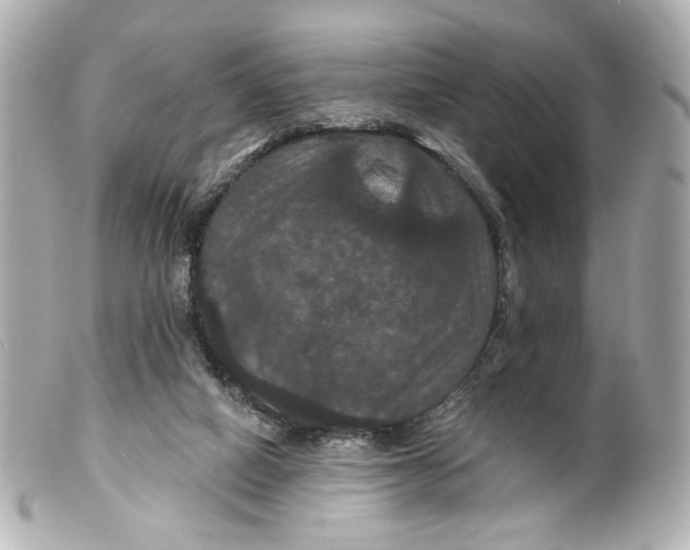 X0000099380066200805291137