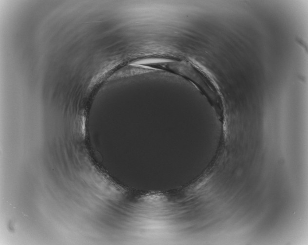 X0000099380067200805291137