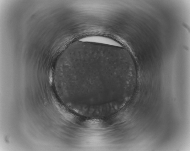 X0000099380069200805291137