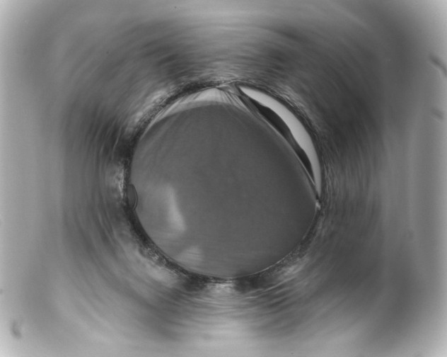 X0000099380072200805291137