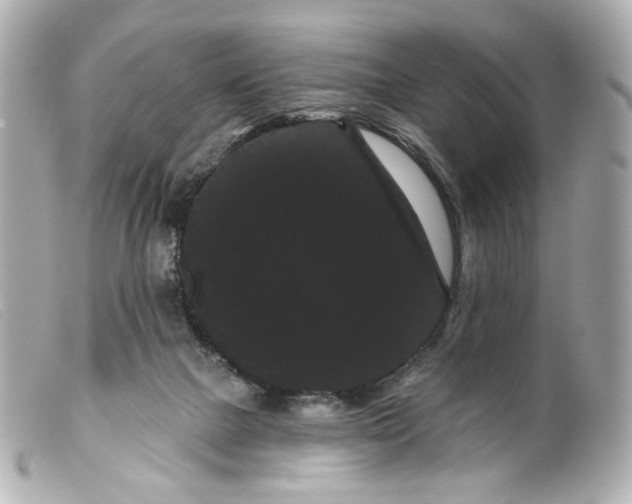 X0000099380073200805291137