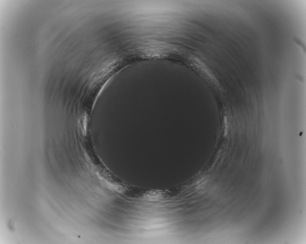 X0000099380076200805291137