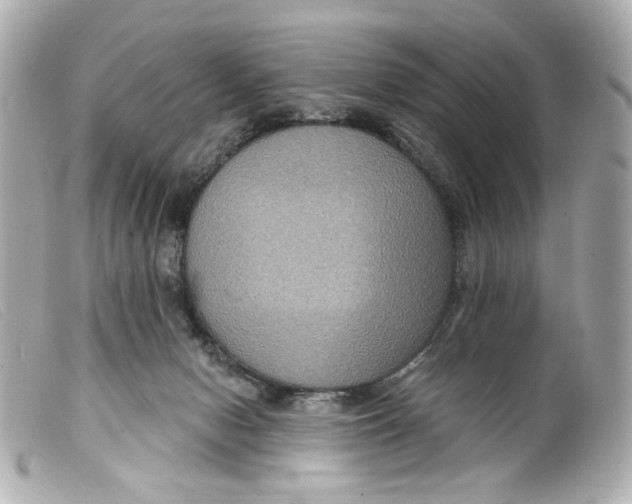 X0000099380078200805291137