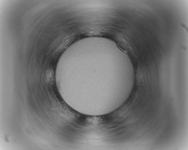 X0000099380079200805291137
