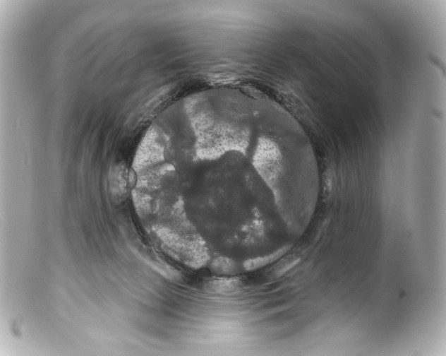 X0000099380081200805291137