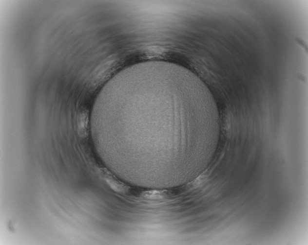 X0000099380082200805291137