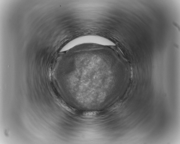 X0000099380084200805291137