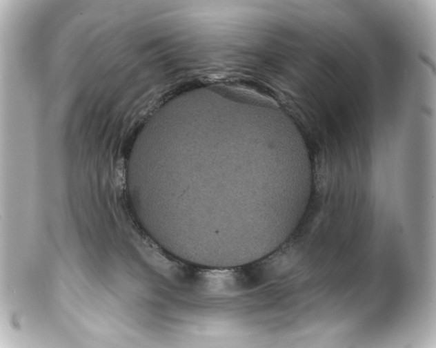 X0000099380085200805291137