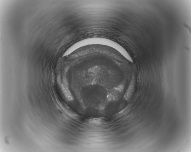 X0000099380086200805291137