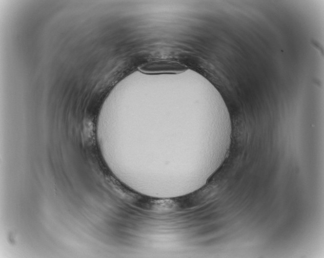 X0000099380087200805291137