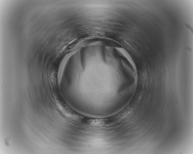 X0000099380088200805291137