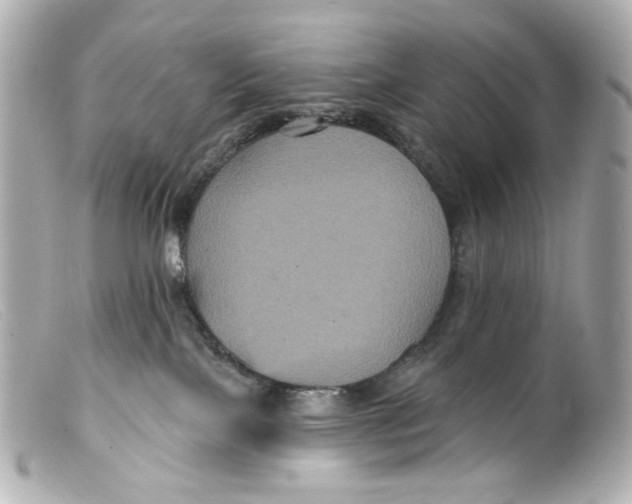 X0000099380089200805291137