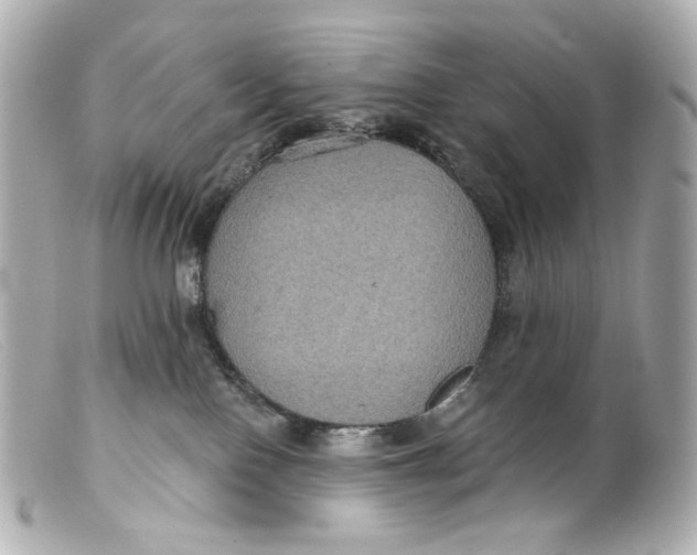 X0000099380090200805291137