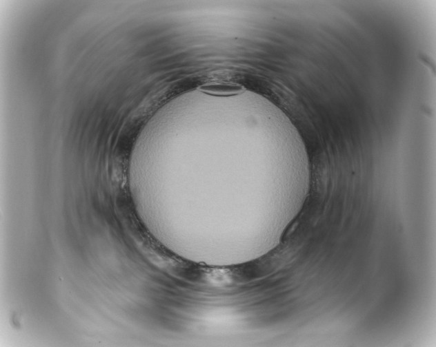 X0000099380091200805291137