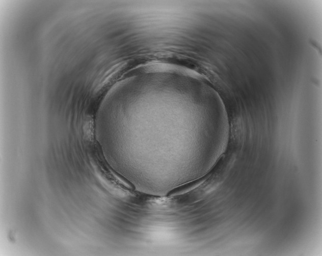 X0000099380092200805291137