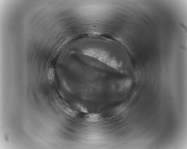 X0000099380093200805291137