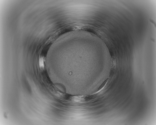 X0000099380094200805291137