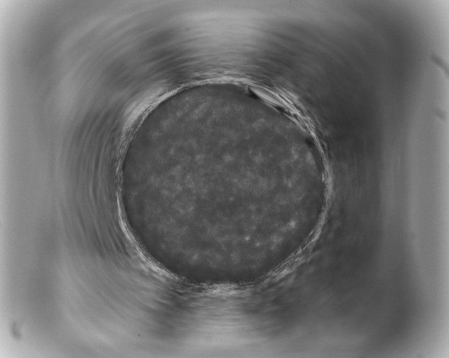 X0000099380097200805291137