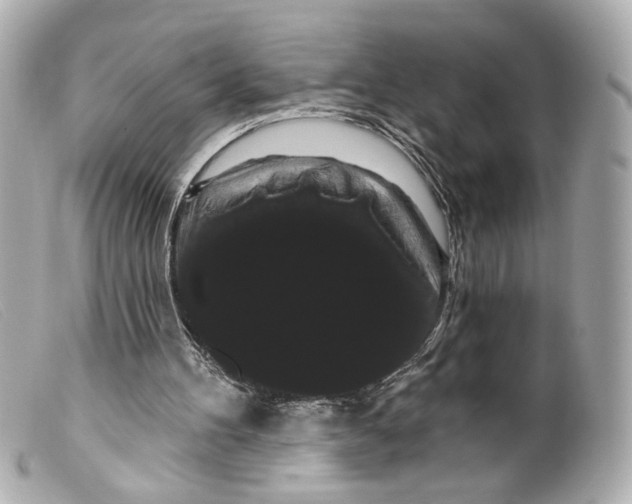 X0000099380100200805291137