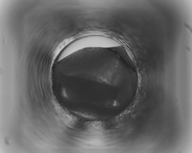 X0000099380104200805291137