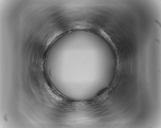 X0000099380106200805291136