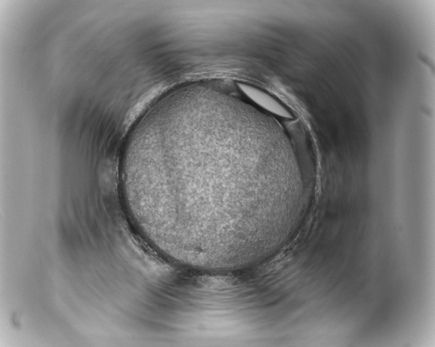X0000099380107200805291136