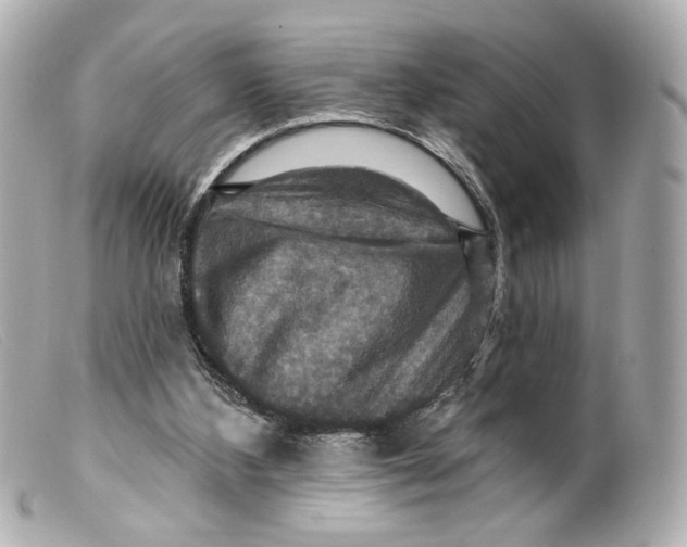 X0000099380108200805291136