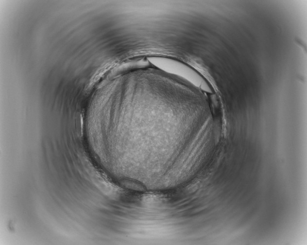 X0000099380109200805291136