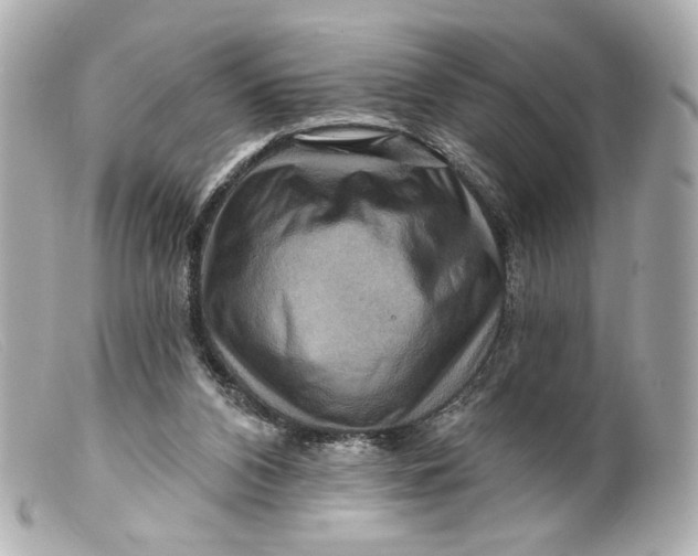 X0000099380112200805291136