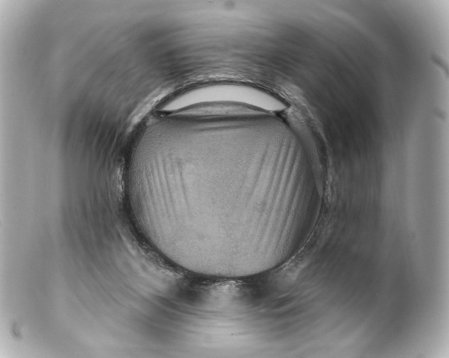 X0000099380116200805291136